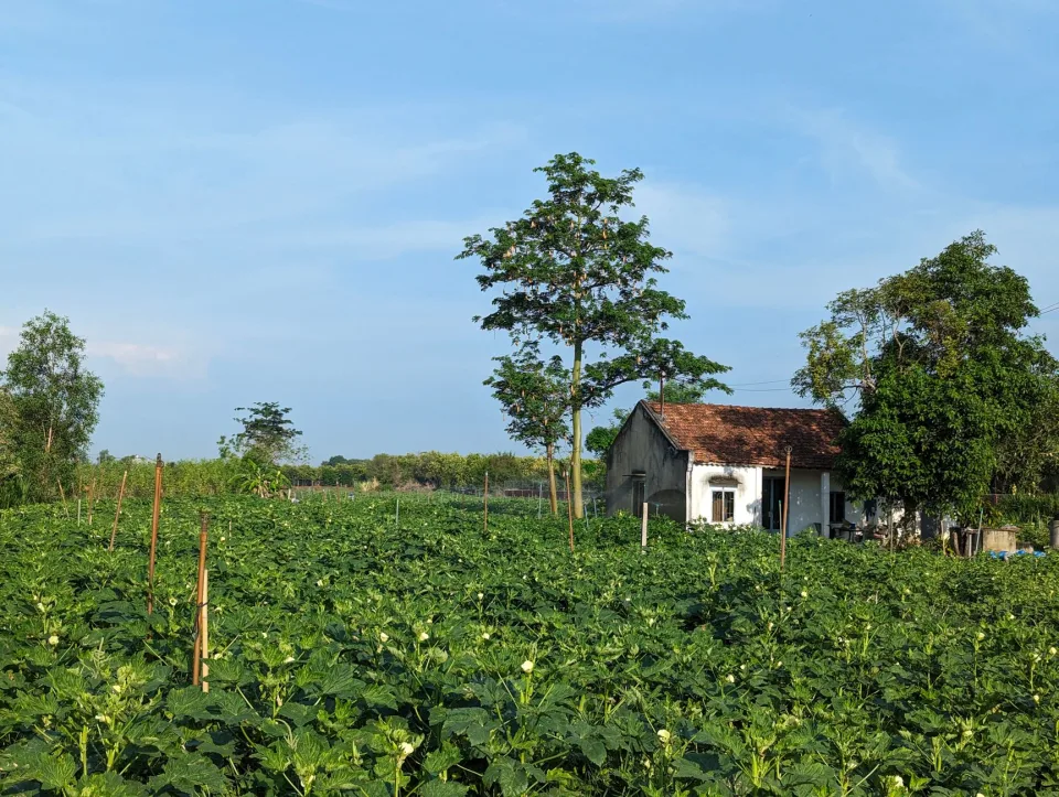 Cổng vườn đón khách